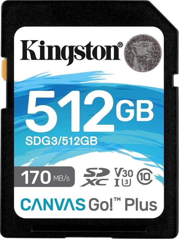 Kingston Technology Canvas Go! Plus Flash-muisti 512 Gt SD Class 10 UHS-I