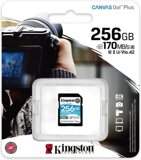 Kingston Technology Canvas Go! Plus Flashminne 256 GB SD Class 10 UHS-I