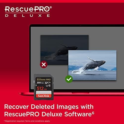 SanDisk Extreme Pro - Flash-minneskort - 512GB - Video Class V30 / UHS-I U3 / Class10 - SDXC UHS-I (SDSDXXD-512G-GN4IN)