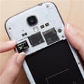 Miniatyrbild 2 av 5: PNY Performance Plus Flash-minne 16 GB MicroSDHC Class 10