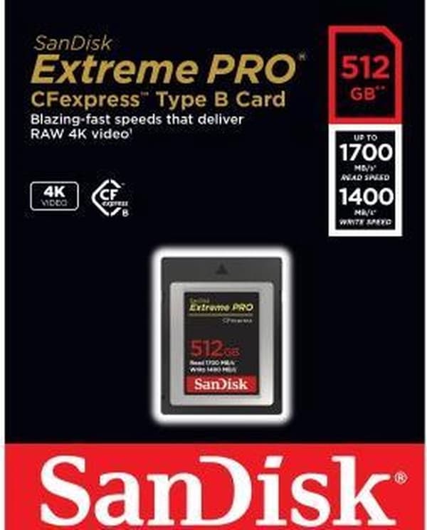 Sandisk 00186487