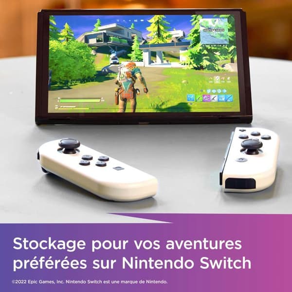 SanDisk microSDXC Extr 256 GB microSDXC-kort (A1/V30/U3/C10/R100/W90) Fortnite, Cuddle Team Leader 256 GB A1 Applicatio