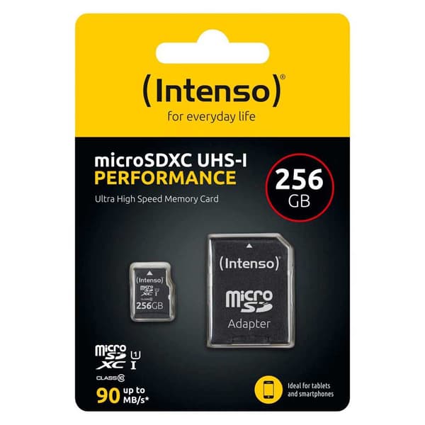 Intenso Minneskort 3424492 256gb Svart