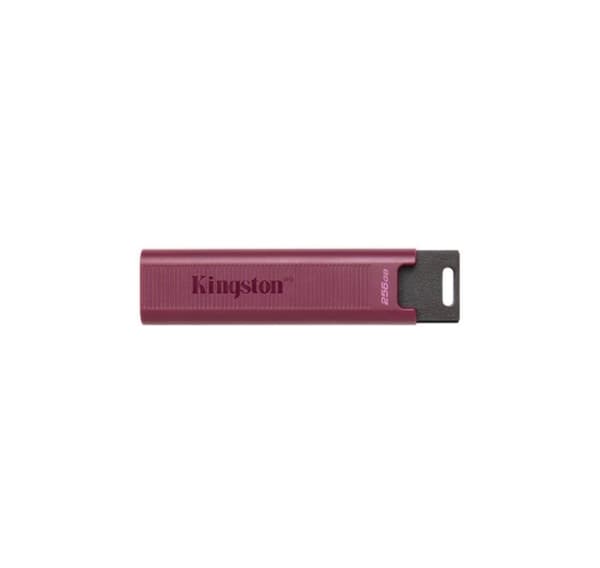 Minnestasjon flash usb3.2/256gb dtmaxa/256gb, Kingston Rød