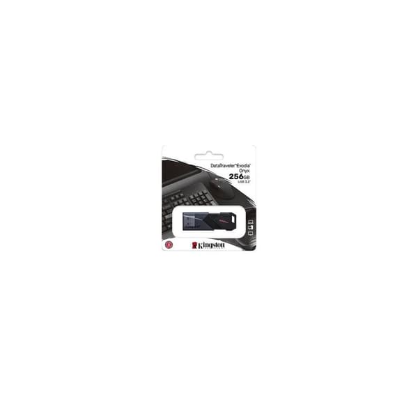 Minnestasjon flash usb3.2/256gb dtxon/256gb, Kingston