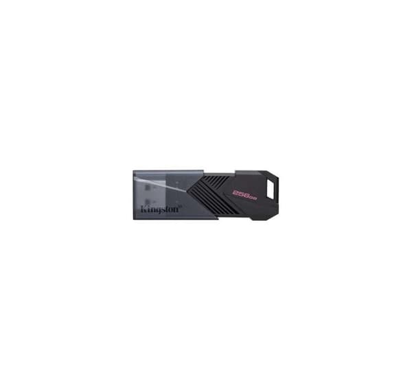 Minnestasjon flash usb3.2/256gb dtxon/256gb, Kingston Sort