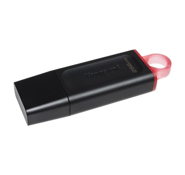 Minnestasjon flash usb3.2/256gb dtx/256gb, Kingston
