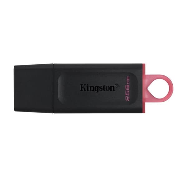 Minnestasjon flash usb3.2/256gb dtx/256gb, Kingston