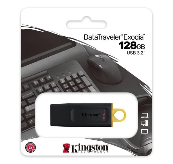 Minnesenhet flash usb3.2/128gb dtx/128gb, Kingston