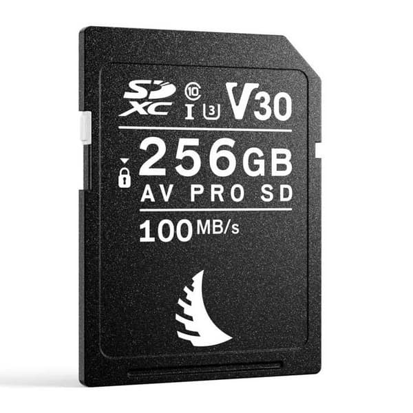 Angelbird Sd-kort Av Pro V30 256gb