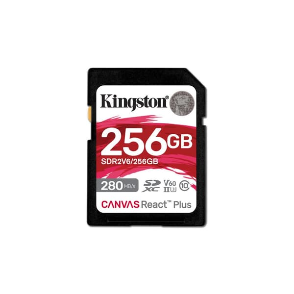 SDXC-Muistikortti Kingston SDR2V6/256GB 256 GB