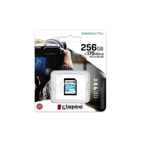 Kingston SDG3/256GB SD-kort minneskort (256GB SDXC Canvas Go Plus 170R C10 UHS-I U3 V30)