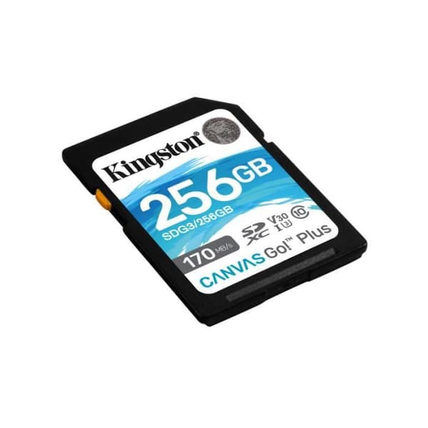Kingston SDG3/256GB SD-kort minneskort (256GB SDXC Canvas Go Plus 170R C10 UHS-I U3 V30)