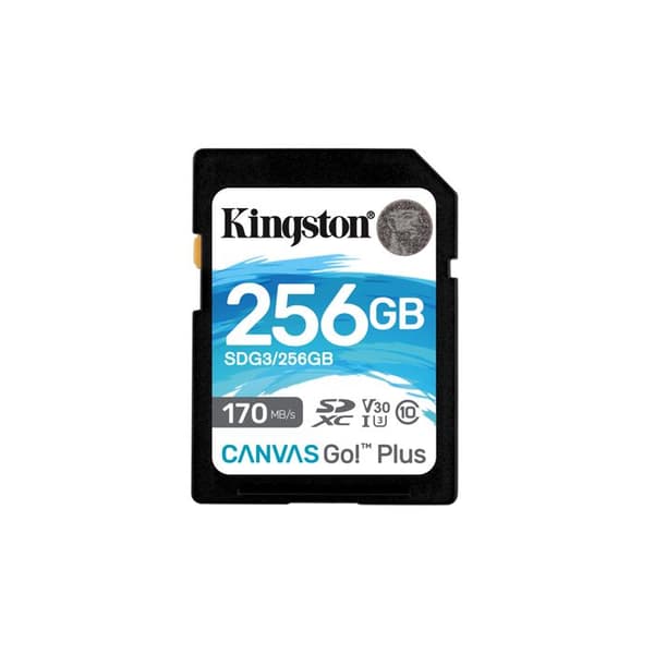 Kingston SDG3/256GB SD-kort minneskort (256GB SDXC Canvas Go Plus 170R C10 UHS-I U3 V30)