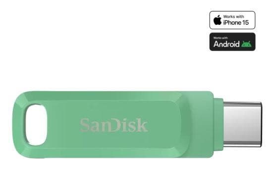 Minnestasjon flash usb-c 256gb/sdddc3-256g-g46ag sandisk, Sandisk av western digital