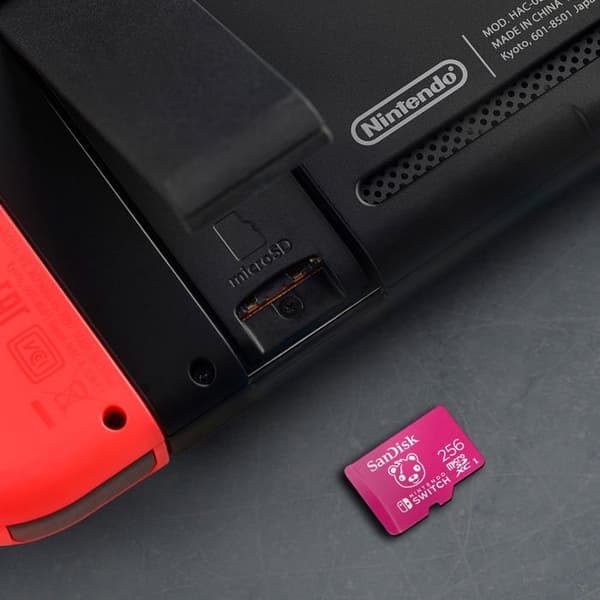 SanDisk microSDXC Extr 256 GB microSDXC-kort (A1/V30/U3/C10/R100/W90) Fortnite, Cuddle Team Leader 256 GB A1 Applicatio