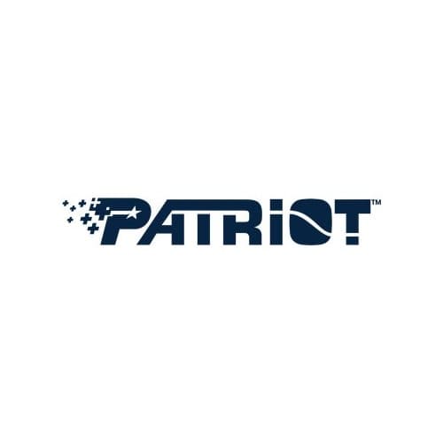 Patriot P210 - SSD - 1 TB - SATA 6Gb/s