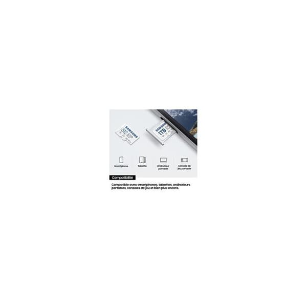 SAMSUNG Micro SD 256GB EVO PLU