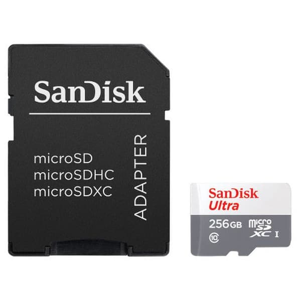 Minneskort - SANDISK - SDSQUNR-256G-GN6TA - 256 Go - Micro SDXC - 100 Mo/s