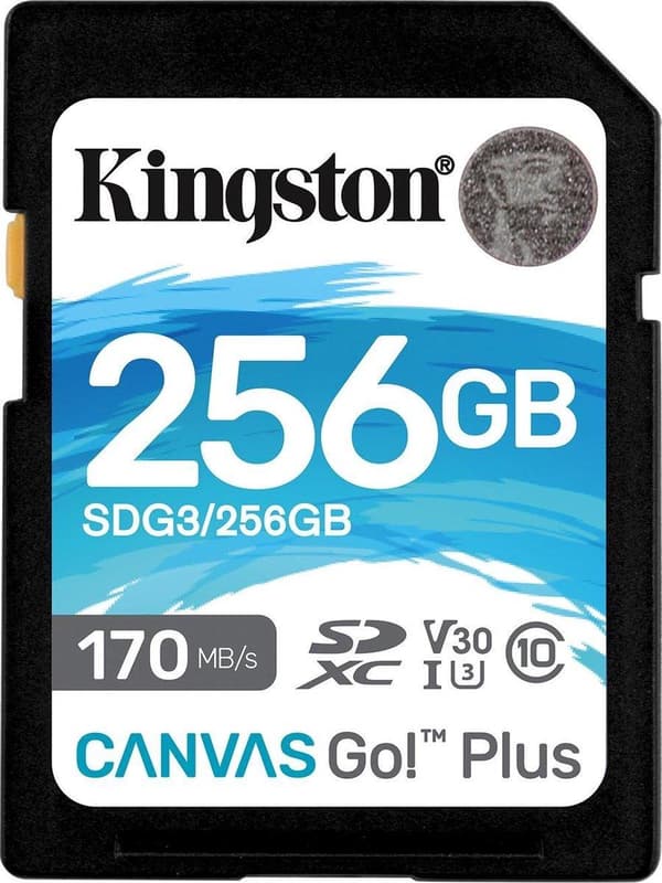 Kingston Technology Canvas Go! Plus Flash-muisti 256 Gt SD Class 10 UHS-I