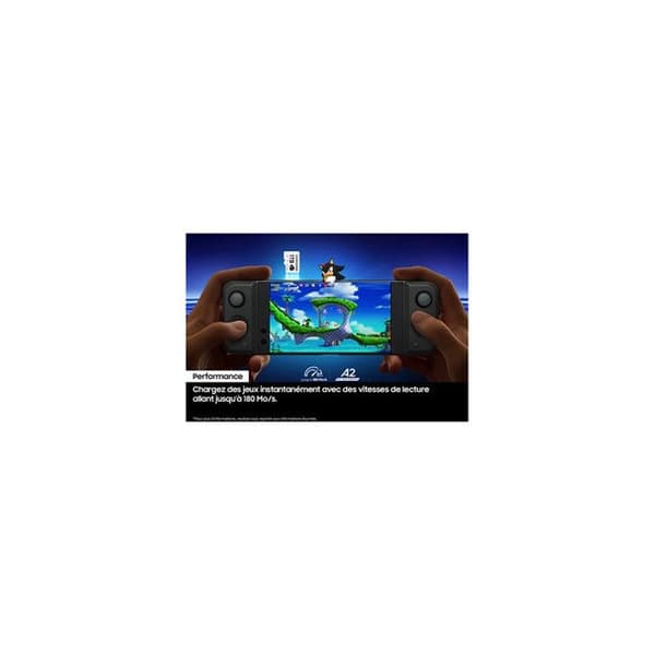 Samsung Sonic le Hérisson™ PRO Plus 1 To micro SD-minneskort