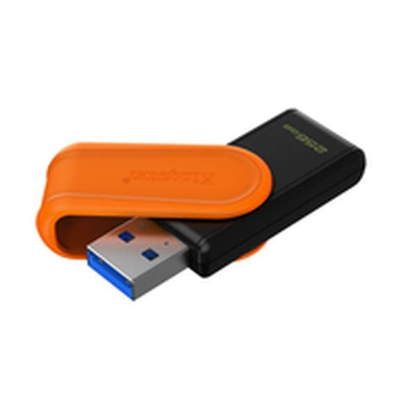 Mikro-SD Minnekort med Adapter Kingston DTXS/256GB 256 GB