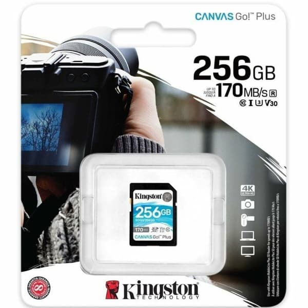 SD-Muistikortti Kingston SDG3/256GB 256 GB