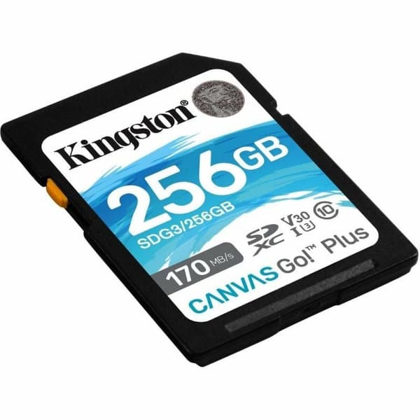 SD-Muistikortti Kingston SDG3/256GB 256 GB