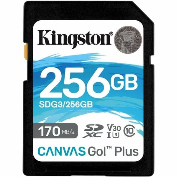 SD-Muistikortti Kingston SDG3/256GB 256 GB