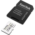 Miniatyrbild 3 av 4: High Endurance flashminneskort - SANDISK - 256 GB - Video Class V30 / UHS-I U3 / Class10
