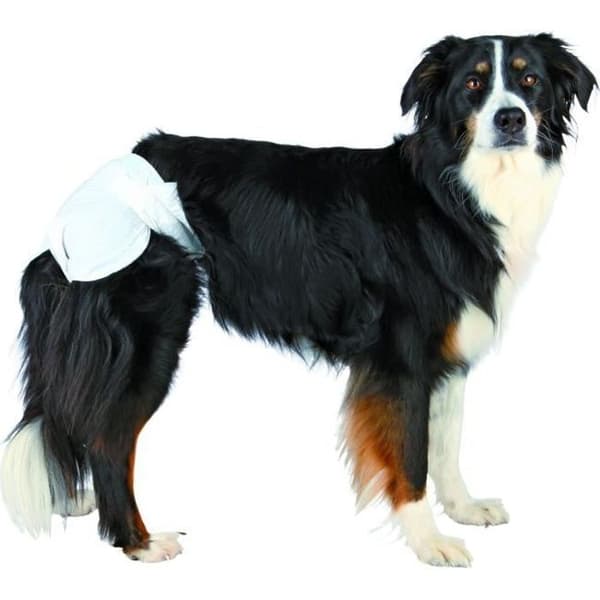 TRIXIE Hundblöjor storlek M
