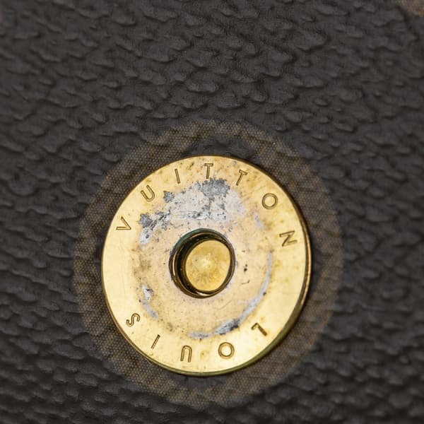 Pre-owned Louis Vuitton Monogram Flore Wallet On Chain Brown