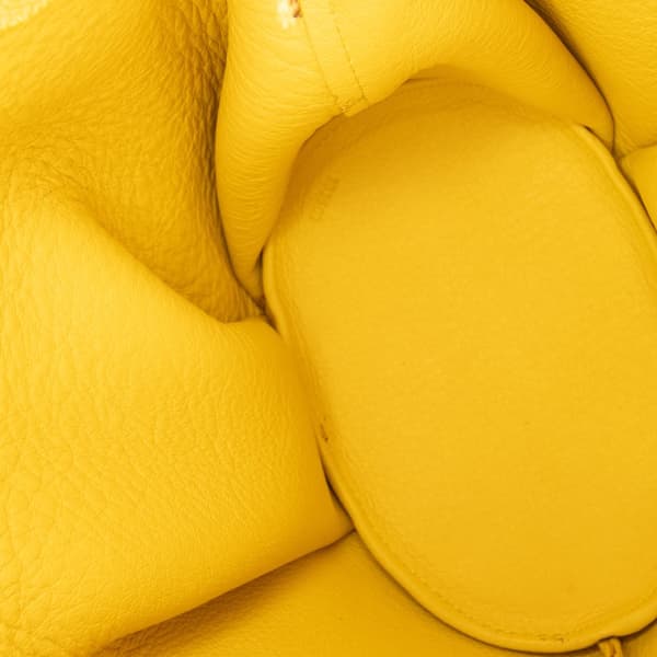 Pre-owned LOEWE Mini Calfskin Elephant Crossbody Yellow