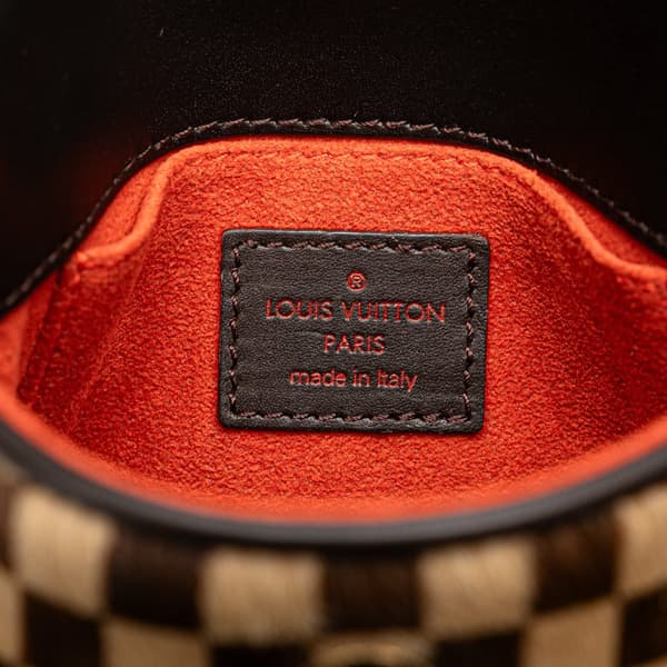 Pre-owned Louis Vuitton Damier Sauvage Gazelle Brown