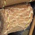 Miniatyrbilde 9 av 10: Pre-owned Louis Vuitton Monogram Saumur 35 Brown