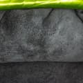Miniatyrbillede 5 af 10: Pre-owned Bottega Veneta Metallic Crushed Calfskin The Mini Pouch Green