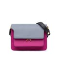 Miniatyrbillede 1 af 10: Pre-owned Marni Tricolor Leather Trunk Crossbody Pink