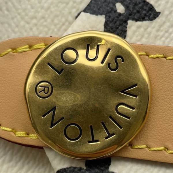 Pre-owned Louis Vuitton Monogram Craggy Envelope Wearable Wallet White