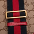 Pikkukuva 9 / 10: Pre-owned Gucci Medium GG Canvas Lady Web Crossbody Brown