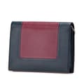 Miniatyrbild 2 av 10: Pre-owned Celine Leather Frame Wallet on Chain Red