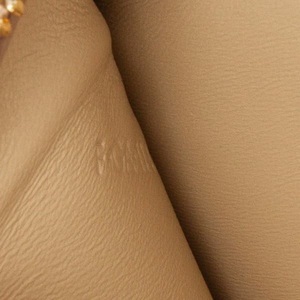 Pre-owned Celine Medium Calfskin Classic Box Brown