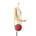 Miniatyrbild 10 av 10: Pre-owned Gucci Mini GG Marmont Matelasse Leather Round Crossbody Red