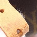 Miniatyrbild 8 av 9: Pre-owned Louis Vuitton Monogram Cartouchiere PM Brown