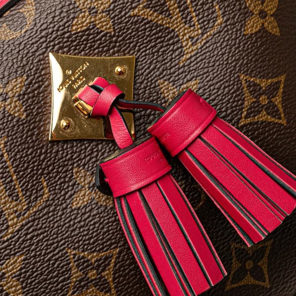 Pre-owned Louis Vuitton Monogram Saintonge Brown