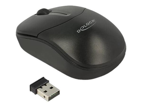 Delock - Mus - höger- och vänsterhänta - optisk - 3 knappar - trådlös - 2.4 GHz - trådlös USB-mottagare - svart - detaljhandel