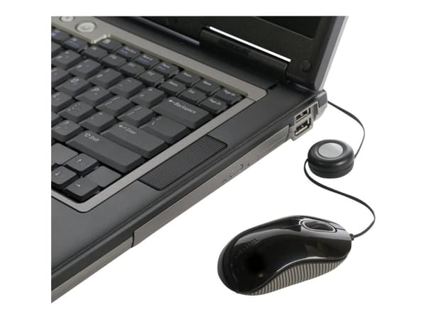 Targus - Mus - höger- och vänsterhänta - optisk - 3 knappar - kabelansluten - USB - svart