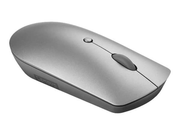 Lenovo 600 Silent - Mus - höger- och vänsterhänta - optisk blå - 3 knappar - trådlös - Bluetooth 5.0 - järngrå - detaljhandel