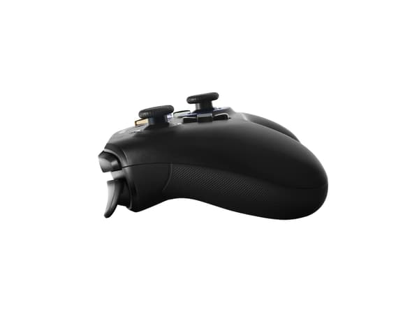 Canyon Gaming GP-W3 - Håndkonsoll - 16 knapper - trådløs - svart - for PC, Sony PlayStation 3, Nintendo Switch, Android