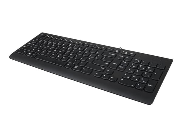 Lenovo 300 - Tangentbord - USB - amerikansk Svart