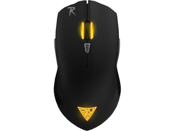 GAMDIAS GMS5501, Optisk, USB Type-A, 4000 DPI, Svart